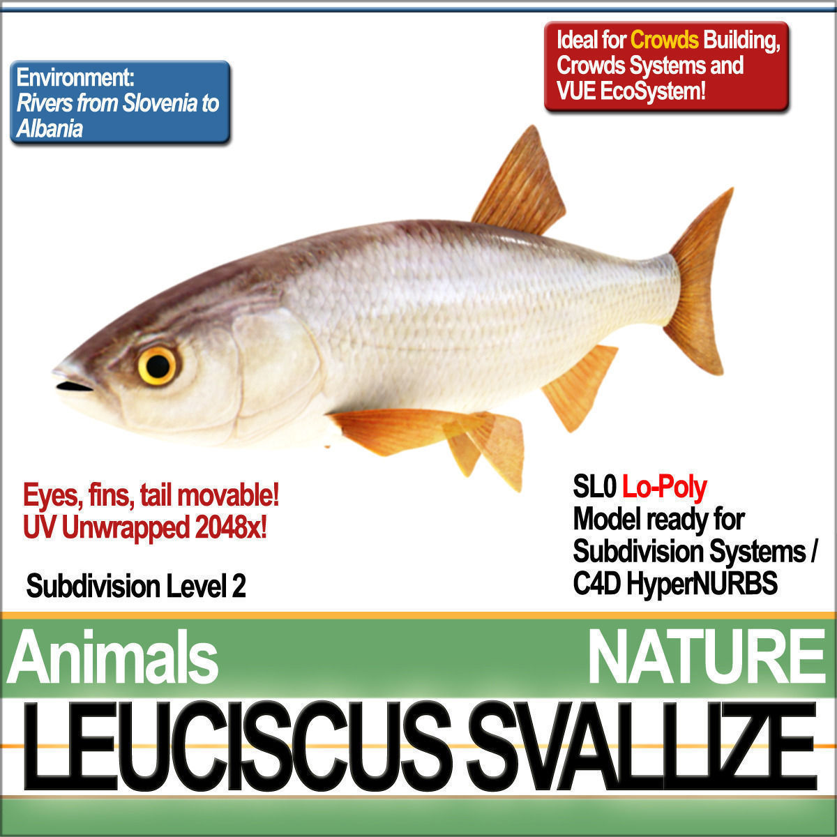 Fish Low Poly Collection of week - tuesday february _4