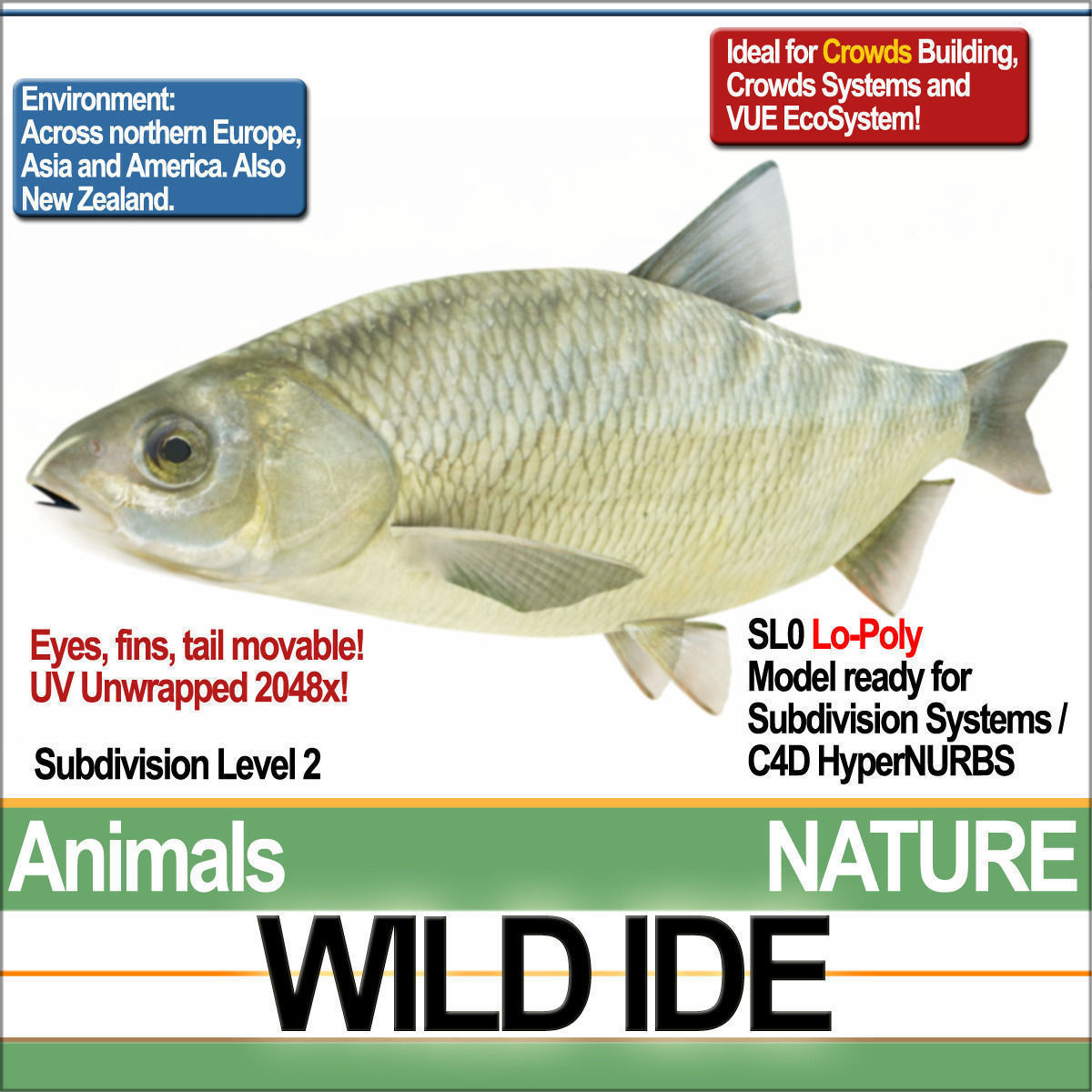 Fish Low Poly Collection of week - tuesday february _5