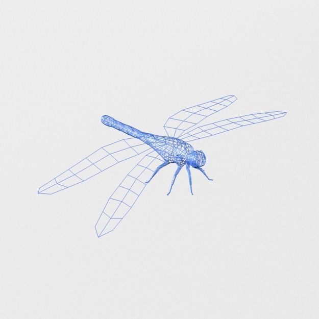Dragonfly silver Low-poly 3D model_4