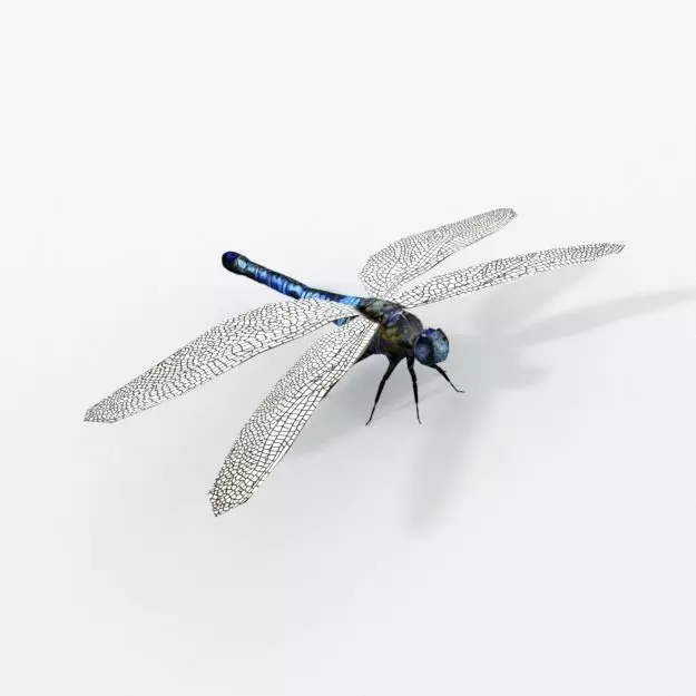 Dragonfly silver Low-poly 3D model_0