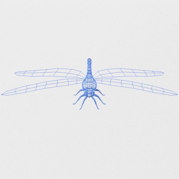 Dragonfly silver Low-poly 3D model_6