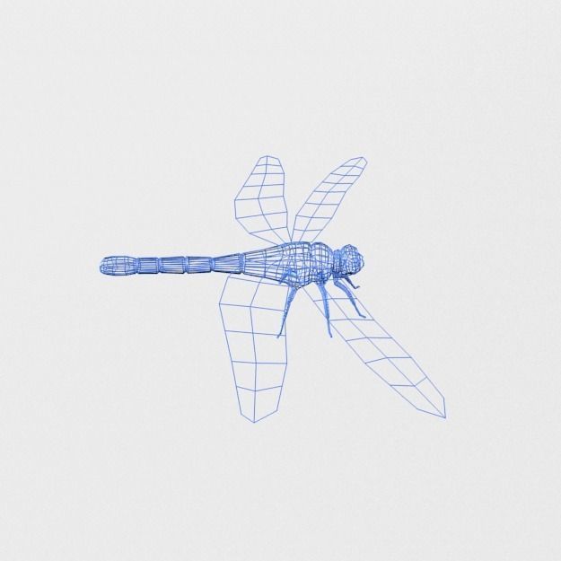 Dragonfly silver Low-poly 3D model_7