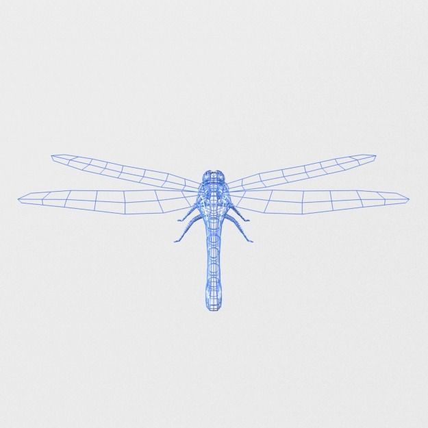 Dragonfly silver Low-poly 3D model_5