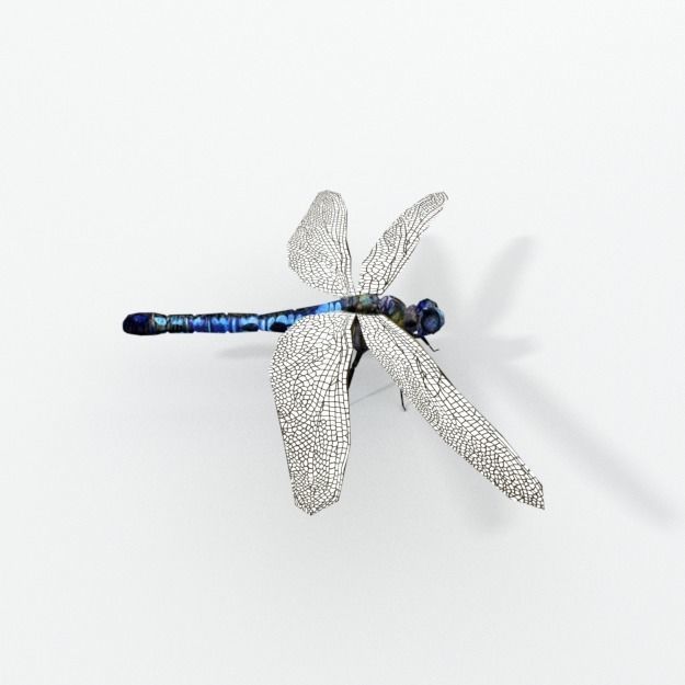 Dragonfly silver Low-poly 3D model_3