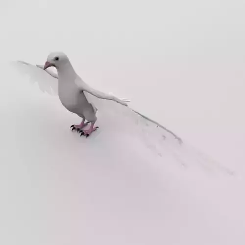Dove Bird Low-poly 3D model