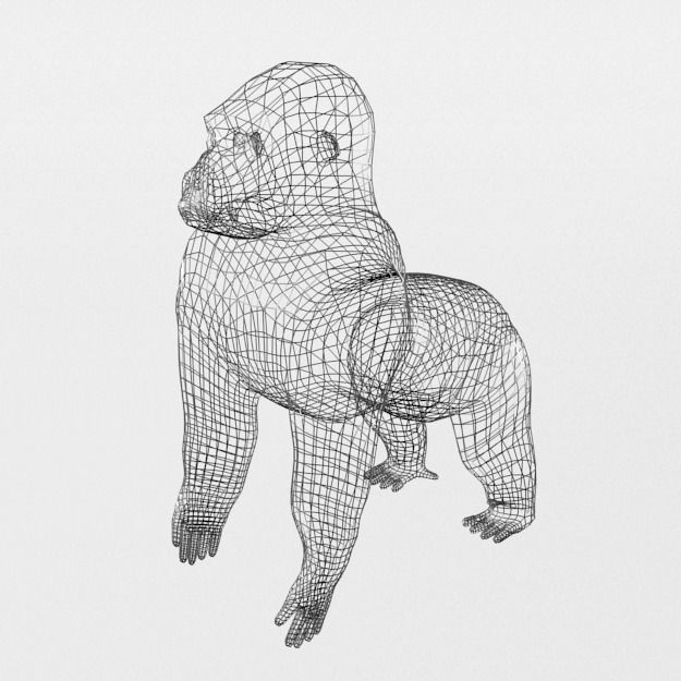 Gorila gorilla Low-poly 3D model_4