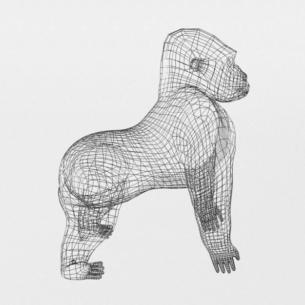 Gorila gorilla Low-poly 3D model_7