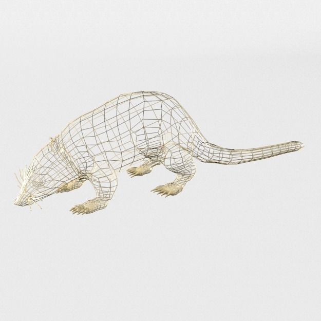 Coati antelope Low-poly 3D model_4