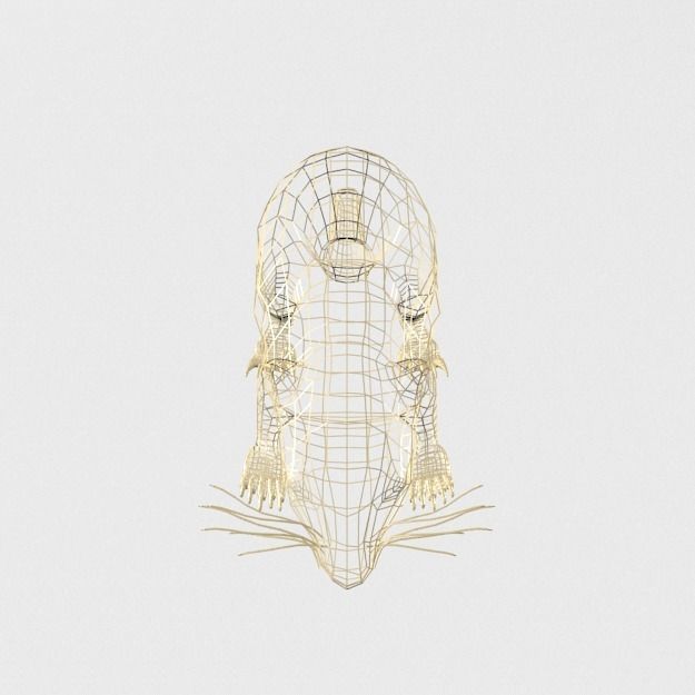 Coati antelope Low-poly 3D model_6