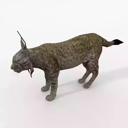 Iberian lynx Low-poly 3D model