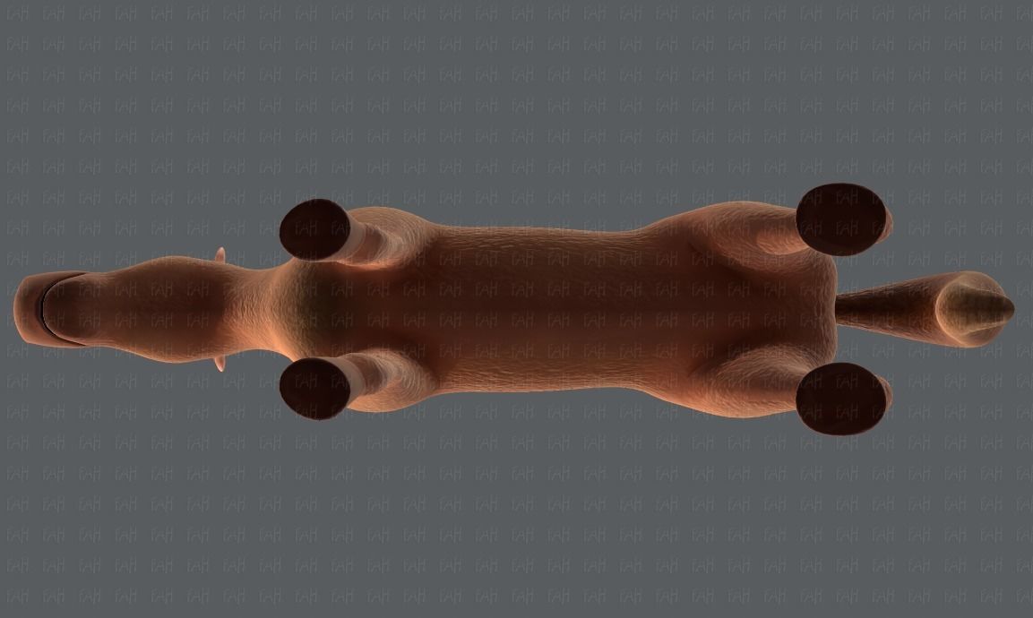 Horse V01 Low-poly 3D model_35