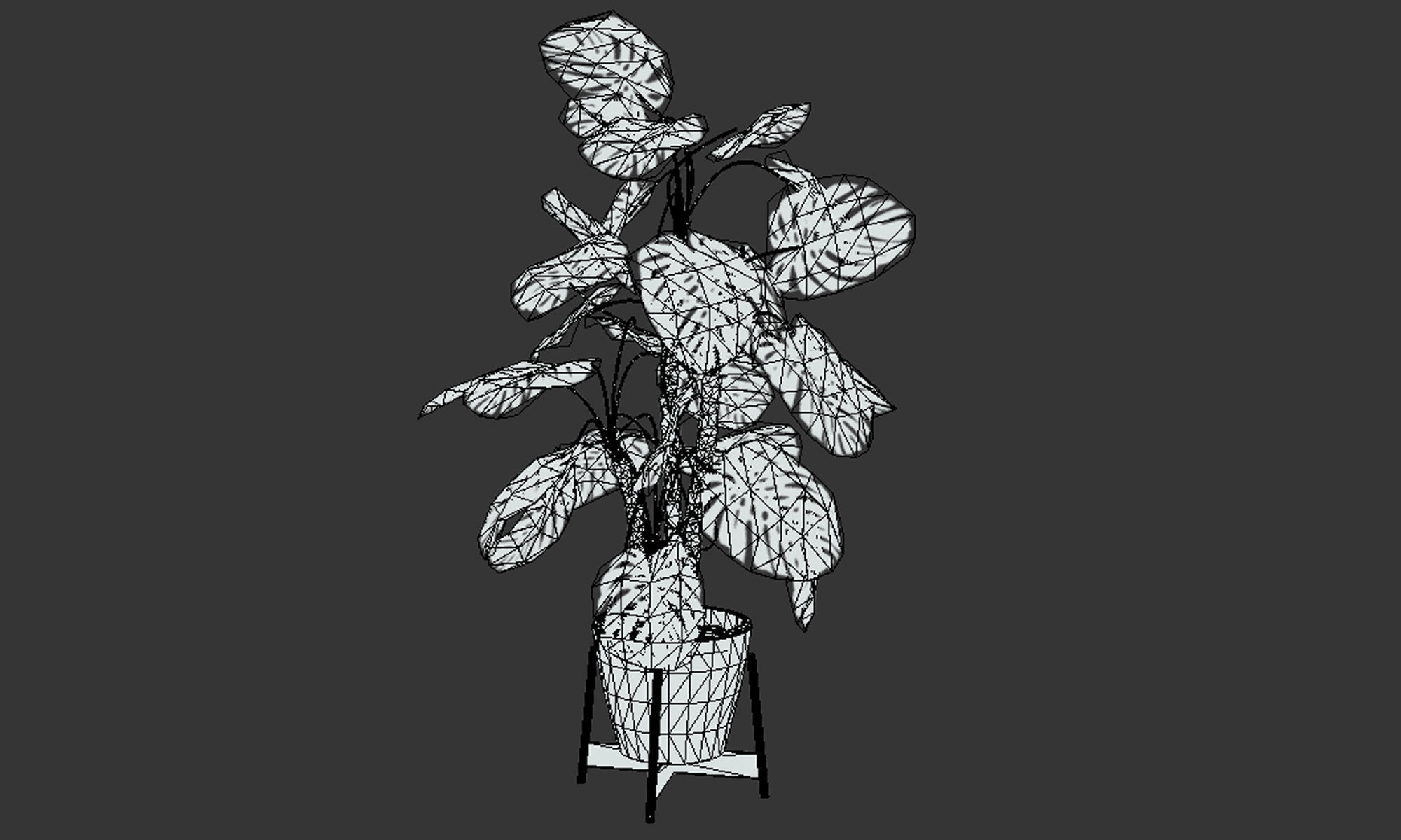 Plant in pot Low-poly 3D model_14