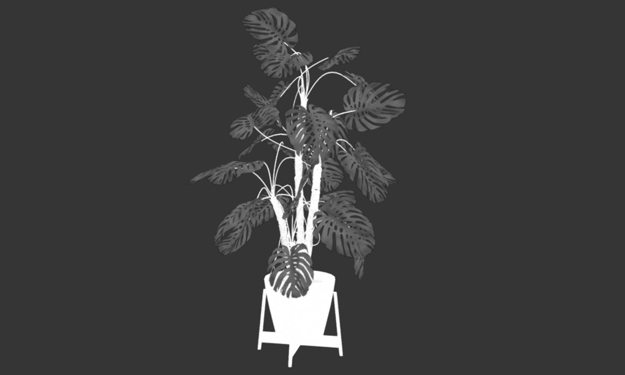 Plant in pot Low-poly 3D model_16