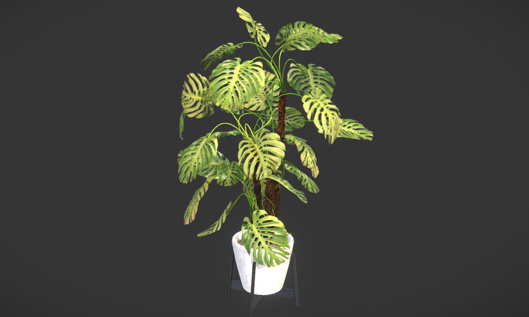 Plant in pot Low-poly 3D model_2