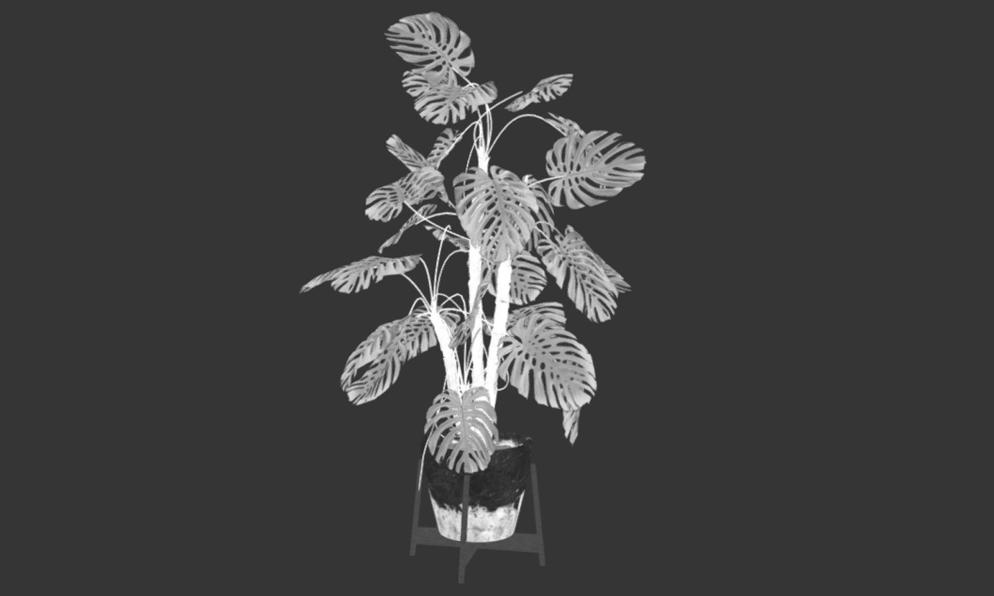 Plant in pot Low-poly 3D model_17