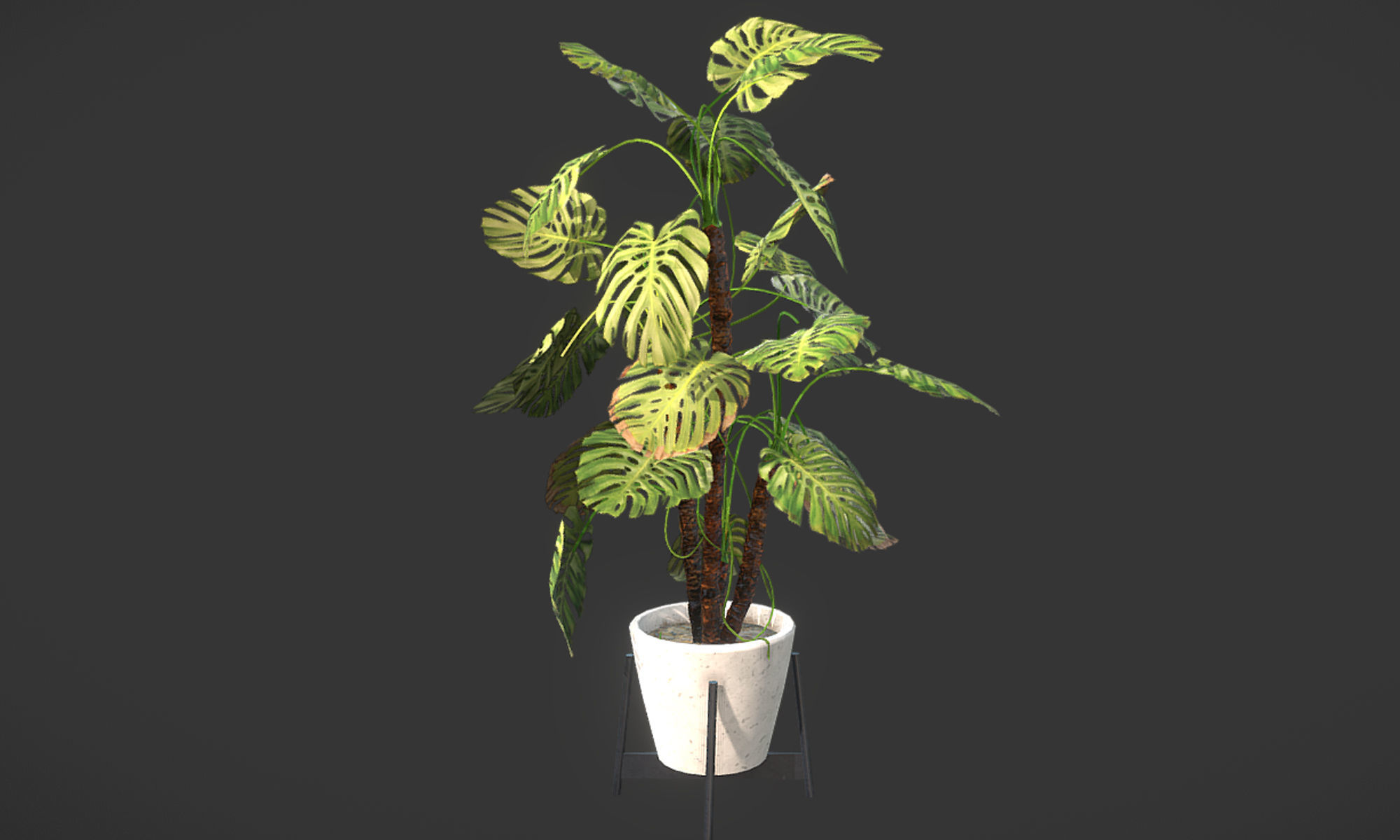 Plant in pot Low-poly 3D model_12