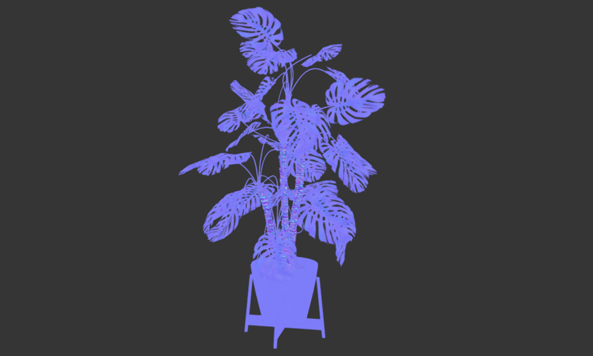 Plant in pot Low-poly 3D model_13