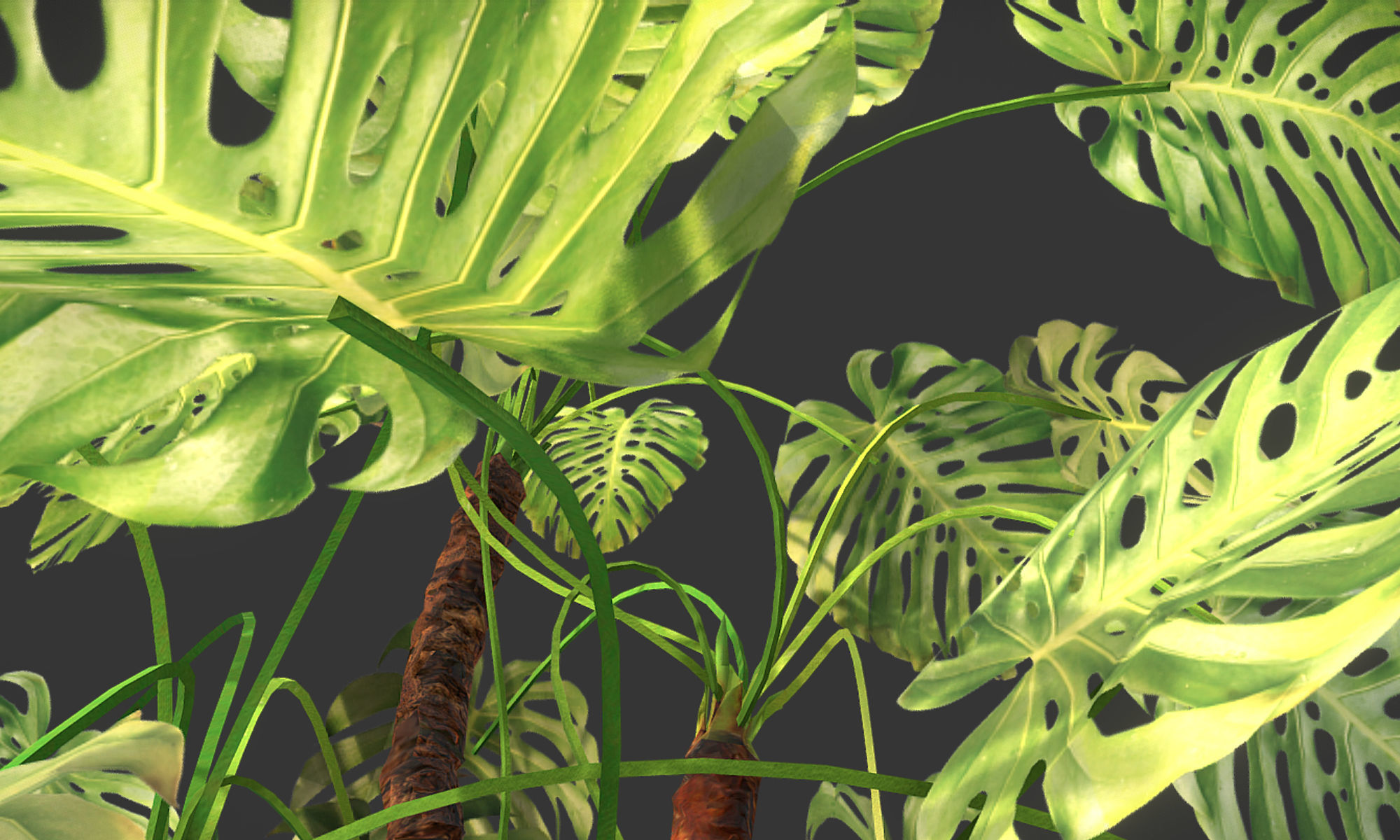 Plant in pot Low-poly 3D model_4