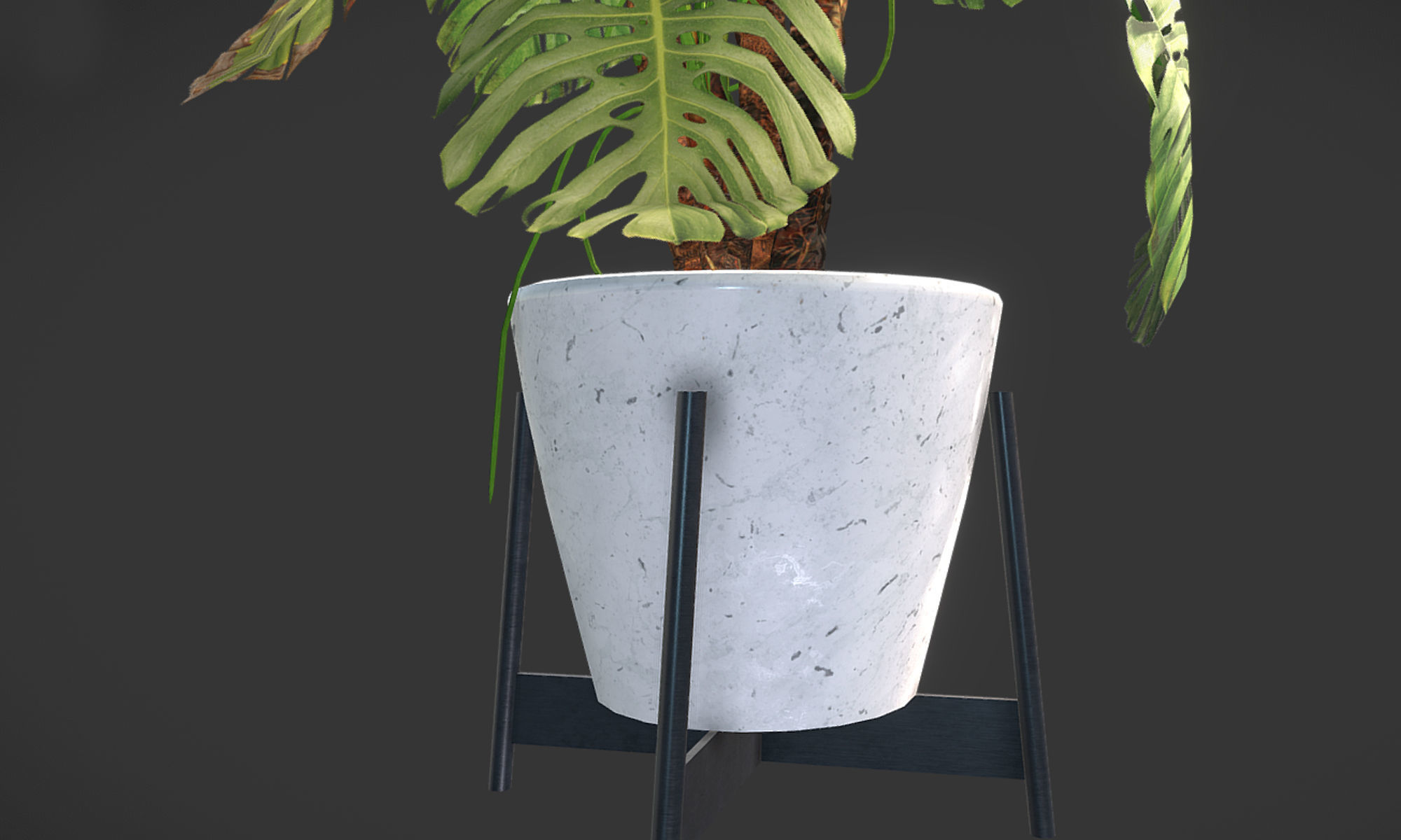 Plant in pot Low-poly 3D model_7