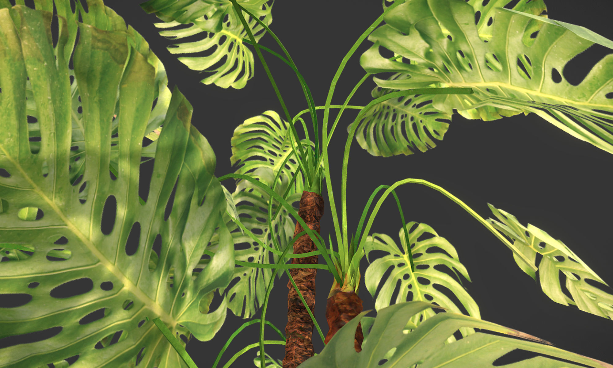 Plant in pot Low-poly 3D model_3