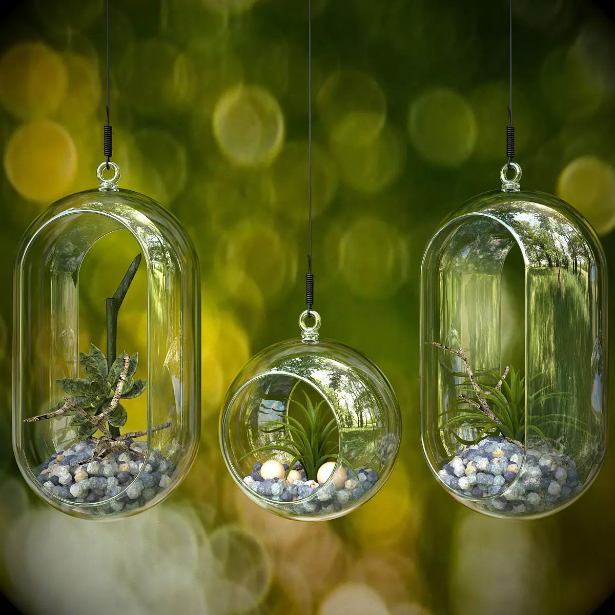 Bowl plant Free 3D model