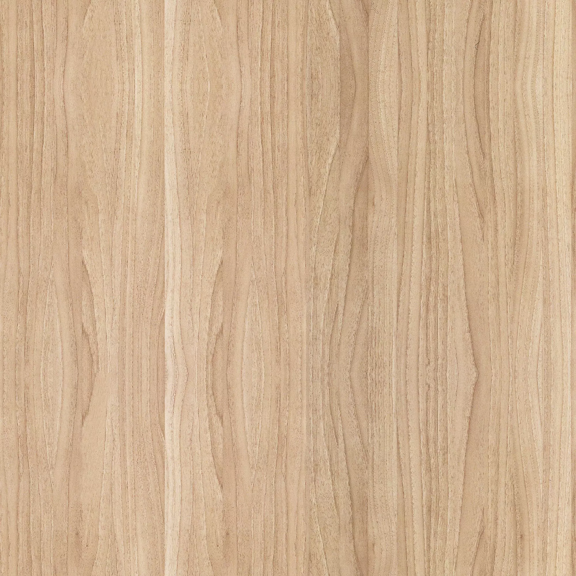 wooden hickory wood veneer Free 3D model_0