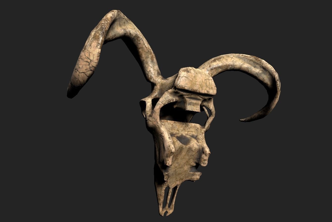 Goat Skull Low-poly 3D model_2