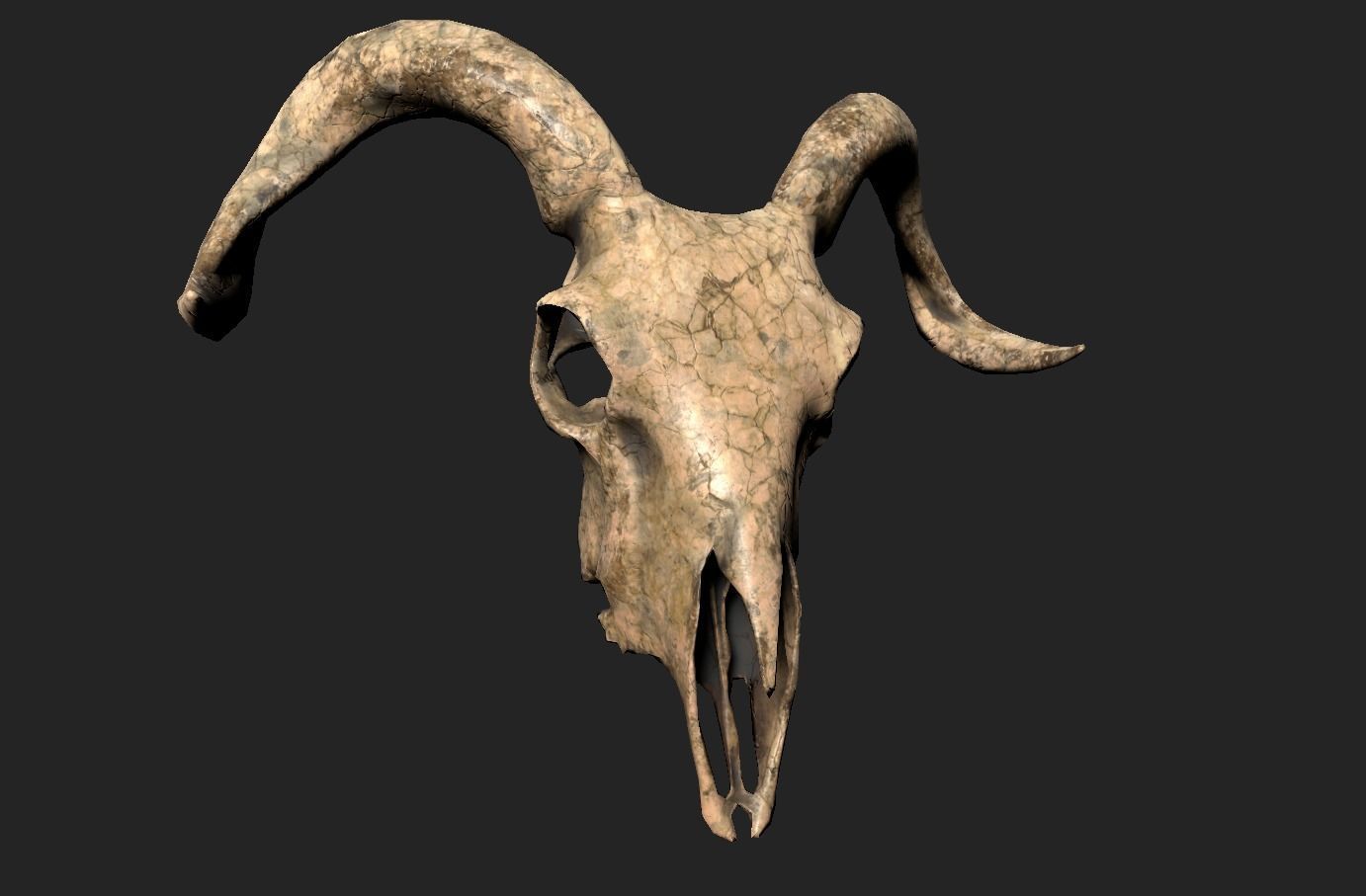Goat Skull Low-poly 3D model_1