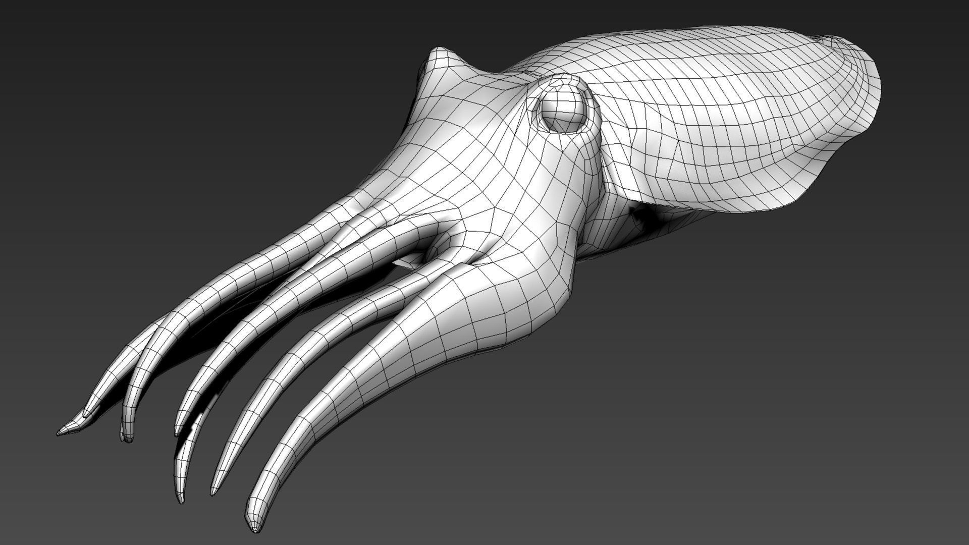 Cuttlefish Camouflage for UE4 and 3DS Octane Low-poly 3D model_14
