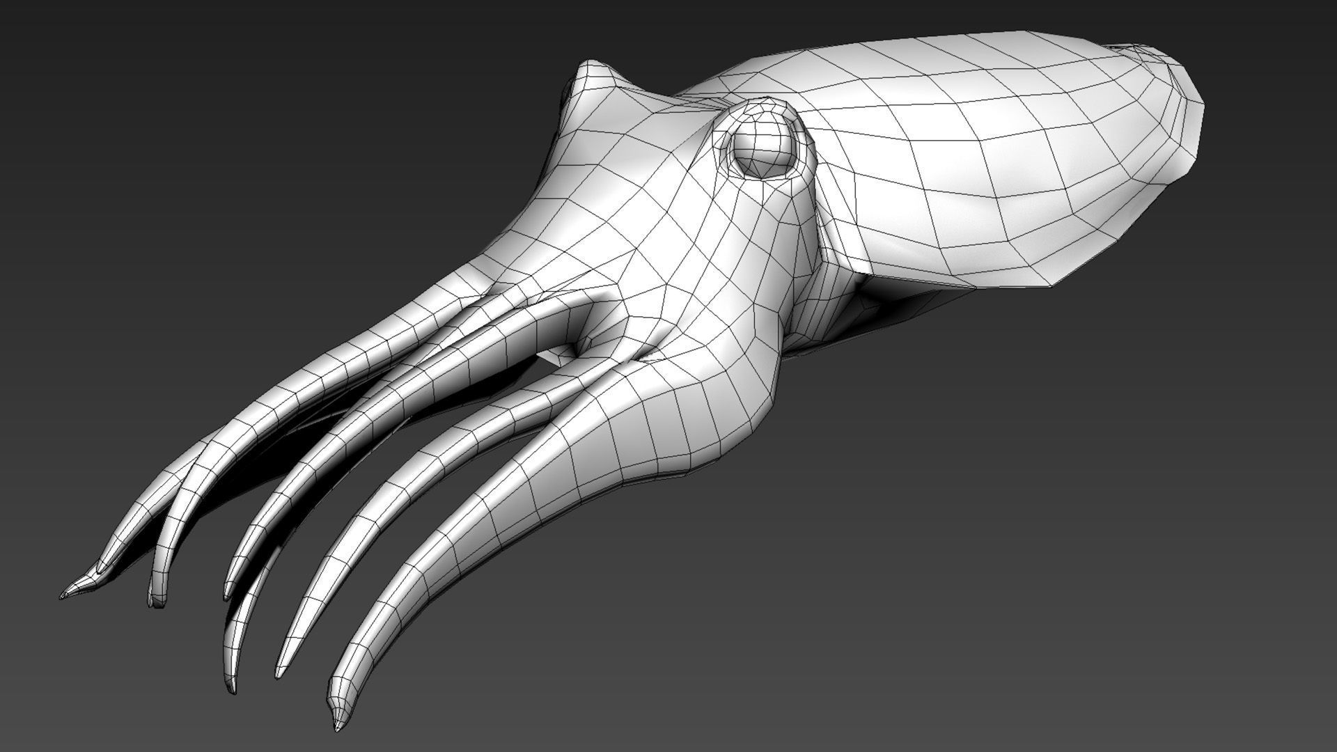 Cuttlefish Camouflage for UE4 and 3DS Octane Low-poly 3D model_15