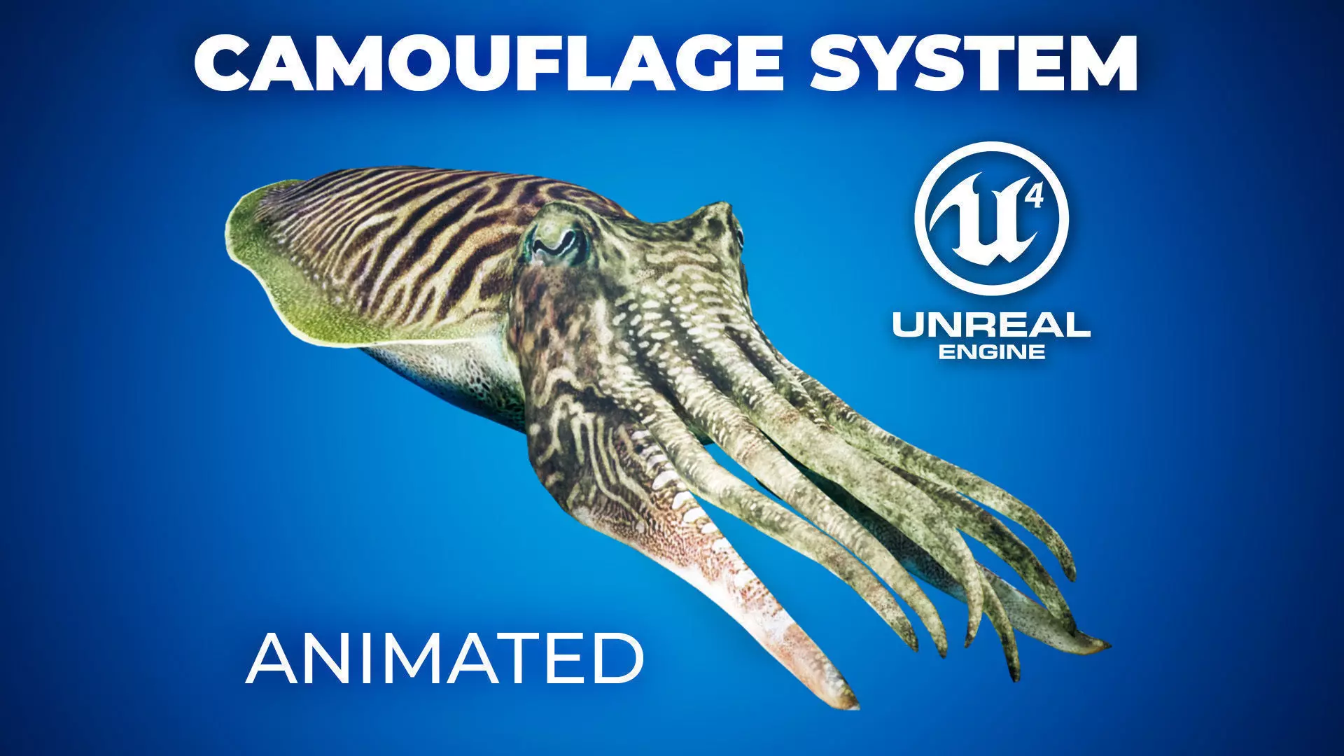 Cuttlefish Camouflage for UE4 and 3DS Octane Low-poly 3D model_0