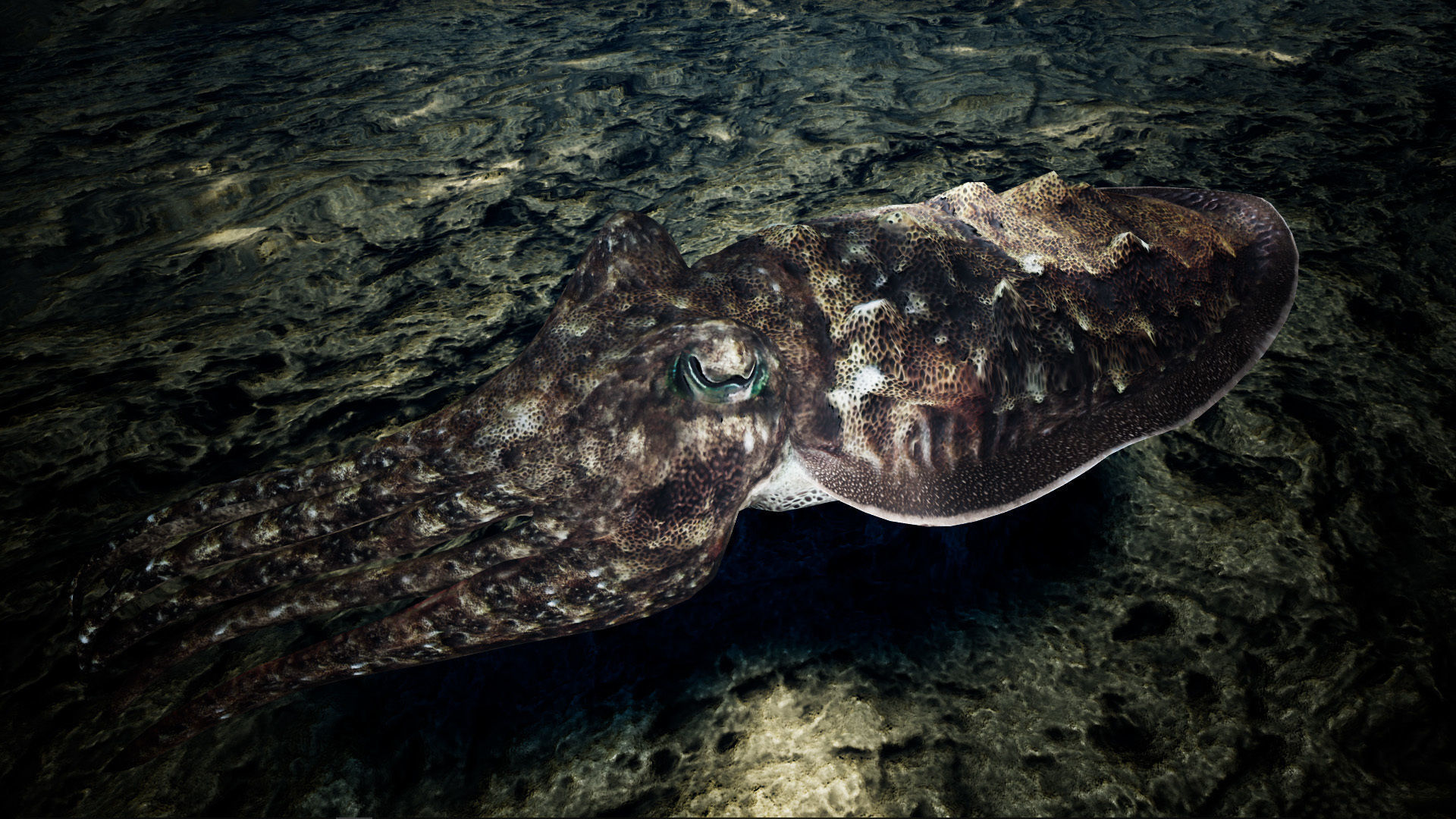 Cuttlefish Camouflage for UE4 and 3DS Octane Low-poly 3D model_7