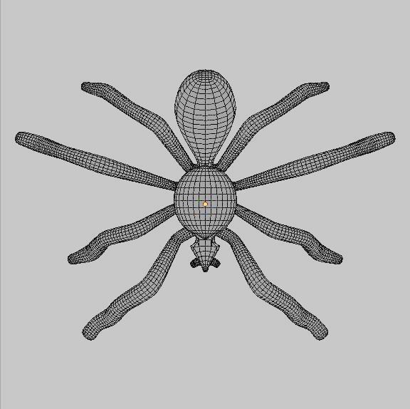TEGENARIA DOMESTICA 3D print model_4