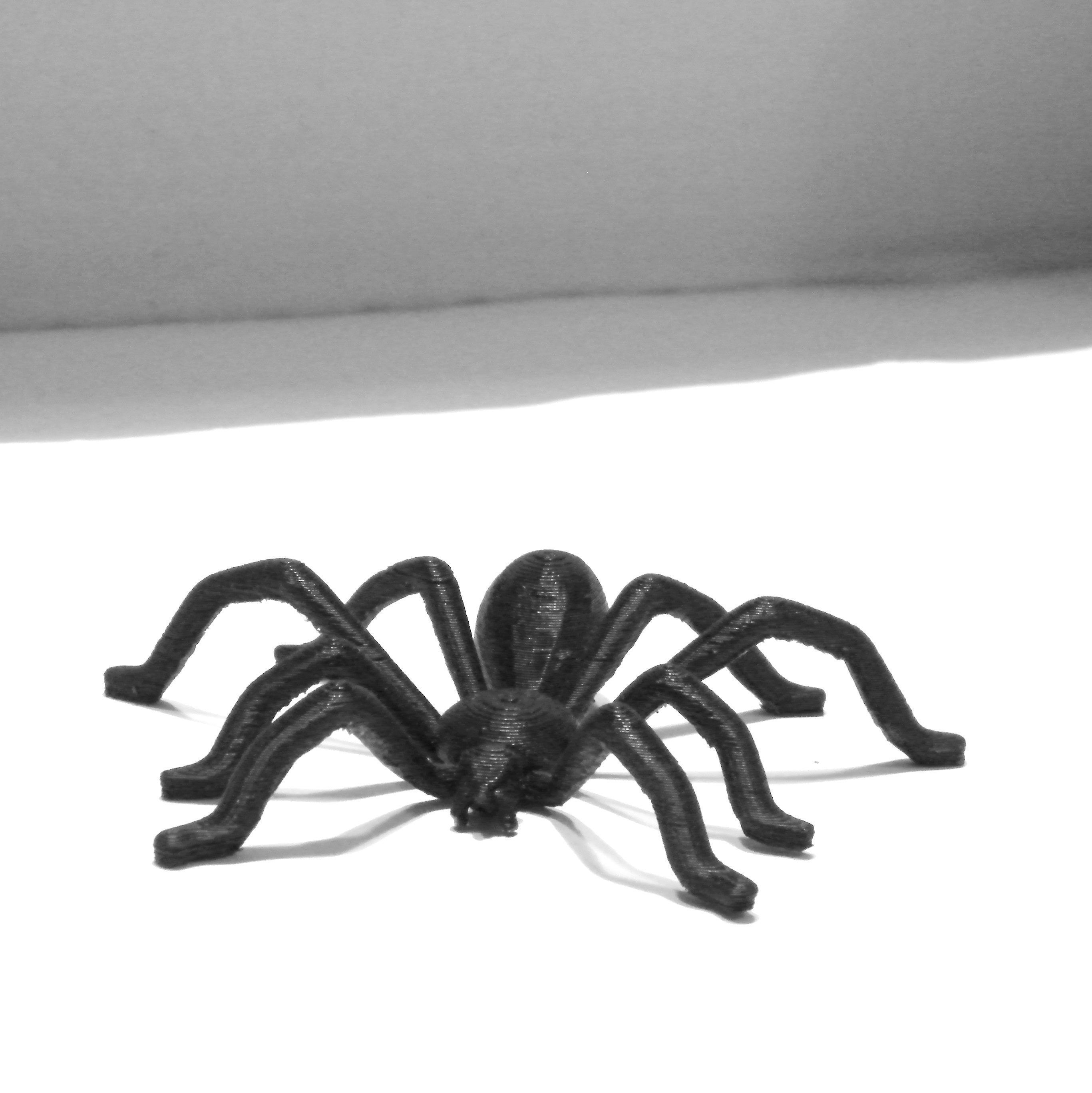 TEGENARIA DOMESTICA 3D print model_1