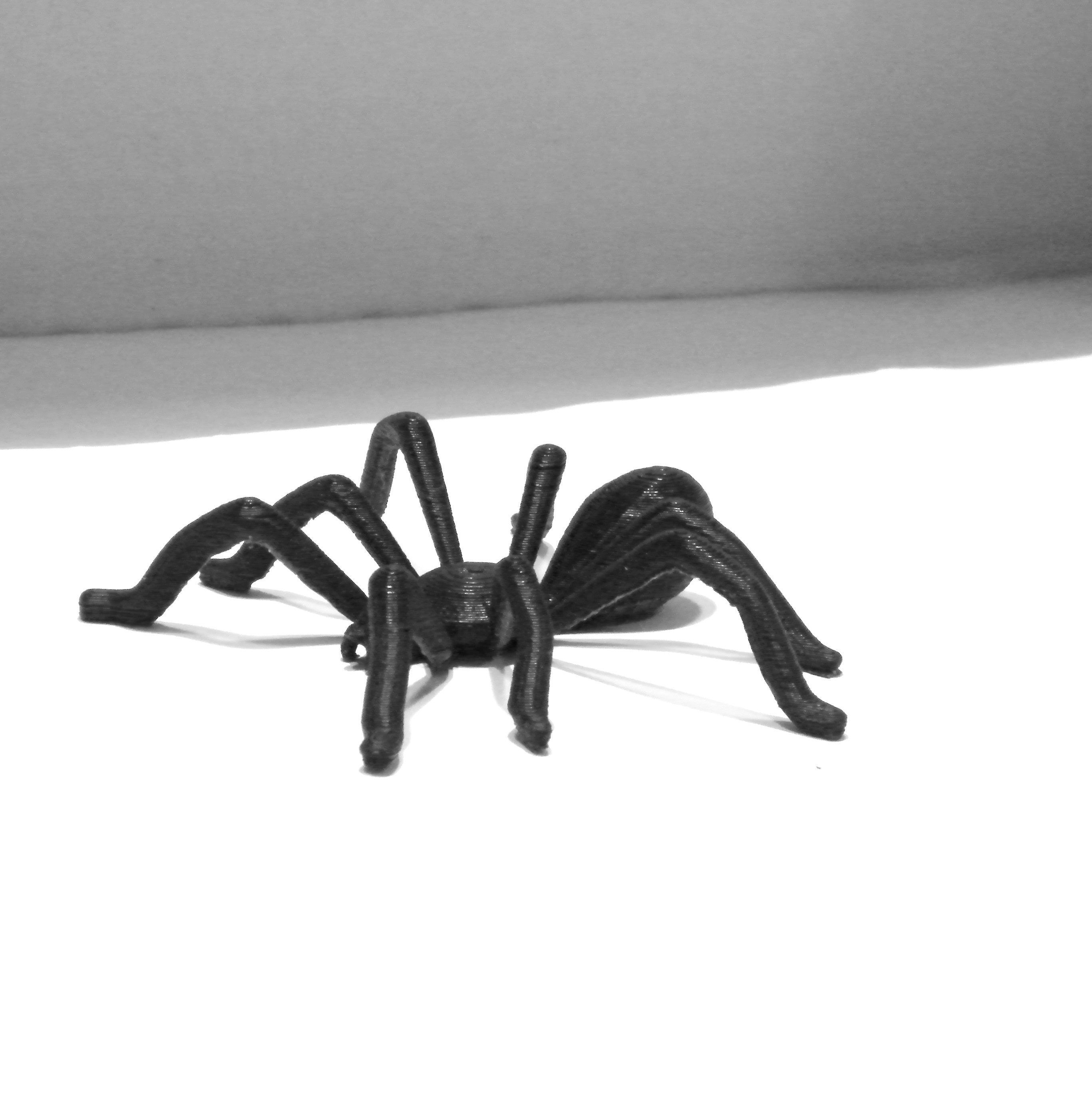 TEGENARIA DOMESTICA 3D print model_3