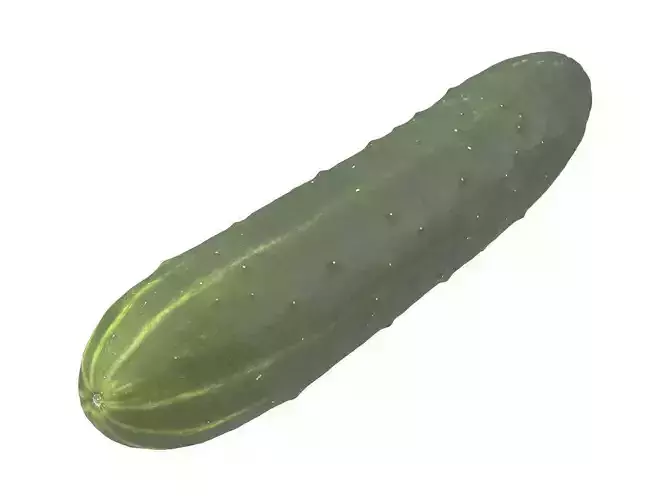 Photorealistic Cucumber 3D Scan 3D model