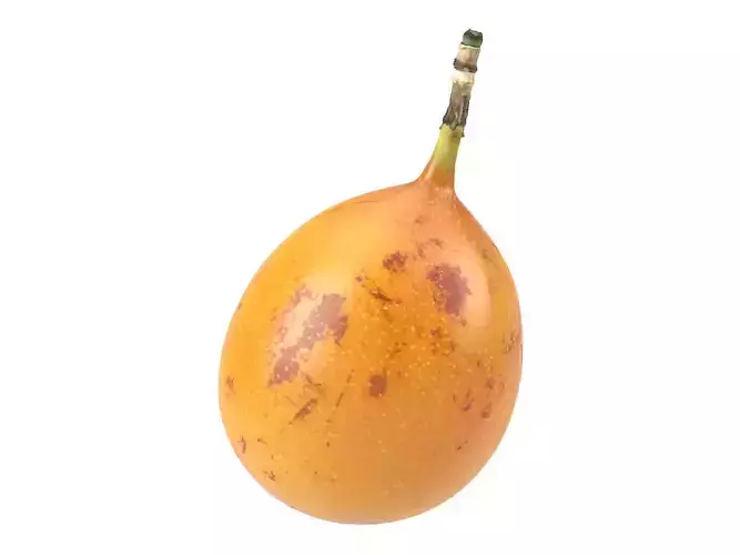 Photorealistic Granadilla 3D Scan 3D model