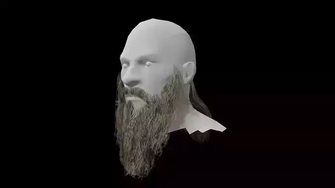 Beard low poly man with long Low-poly 3D model
