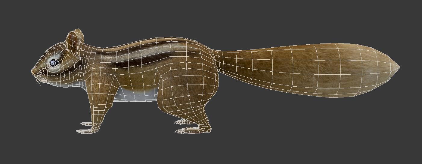 Squirrel chipmunk Low-poly 3D model_4