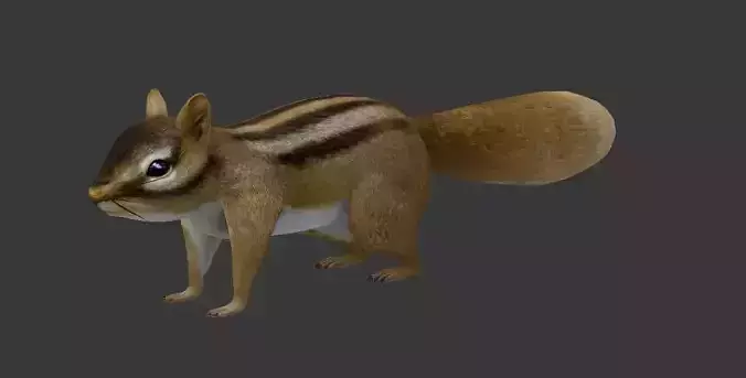 Squirrel chipmunk Low-poly 3D model