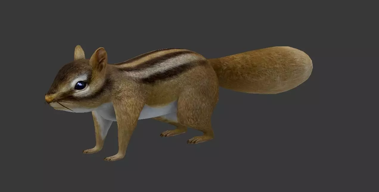 Squirrel chipmunk Low-poly 3D model_0