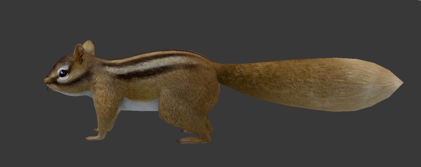 Squirrel chipmunk Low-poly 3D model_1