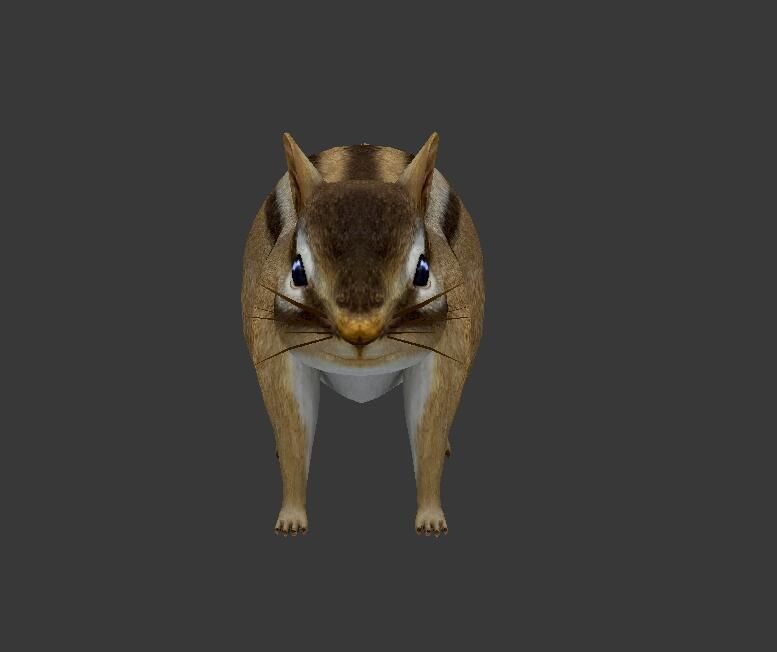 Squirrel chipmunk Low-poly 3D model_2