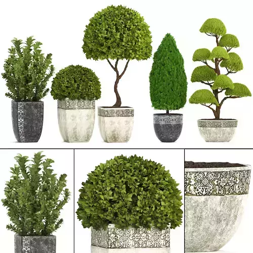 Collection of plants for the garden