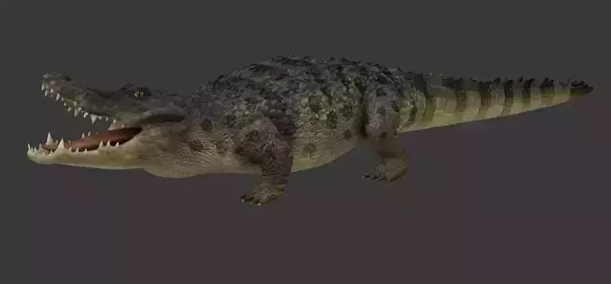 crocodile Low-poly 3D model