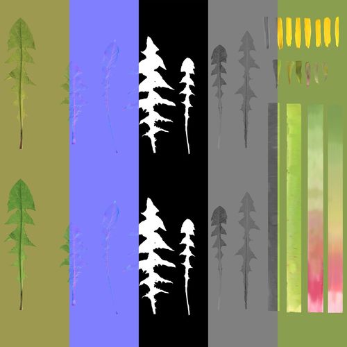 Dandelion Pack 3D model_10