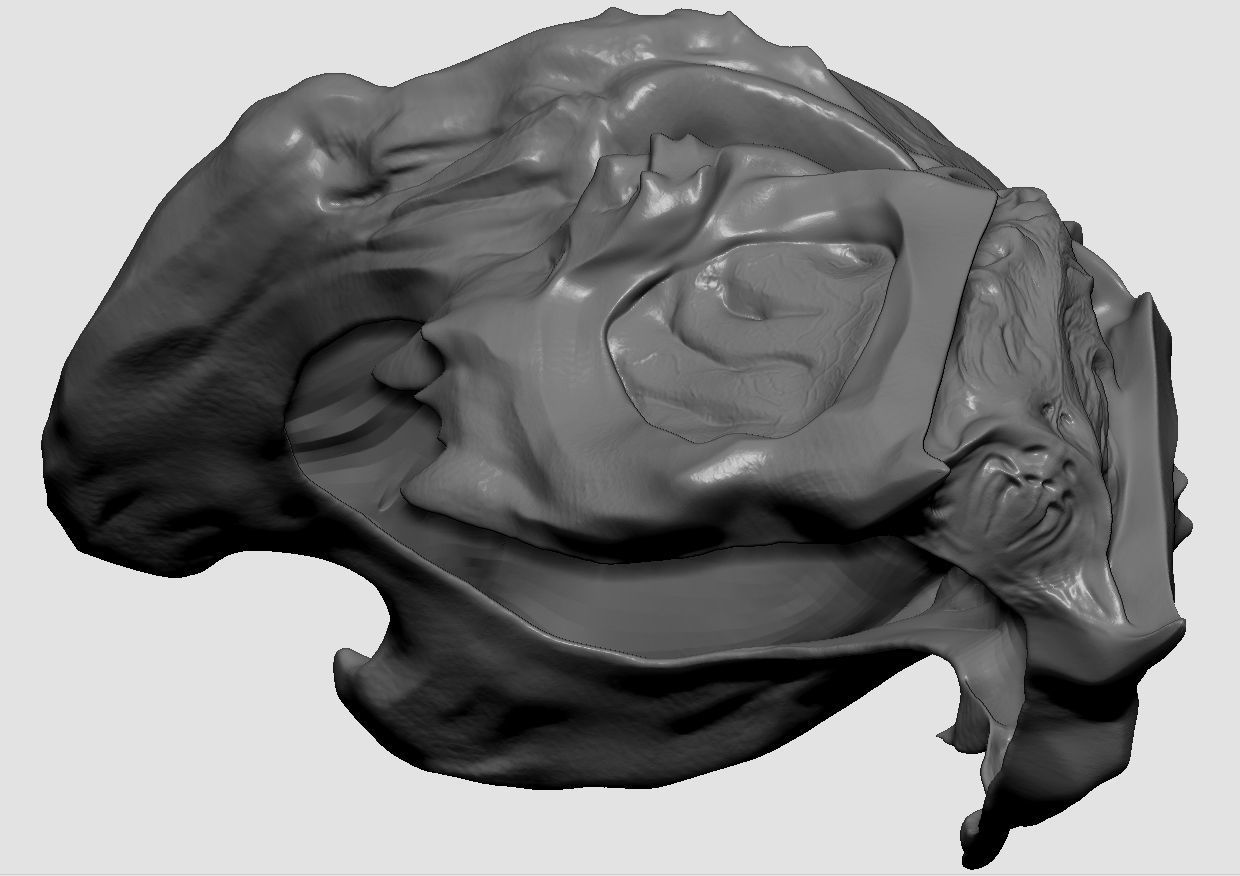 Ceremonial hunter mask 3D print model_8