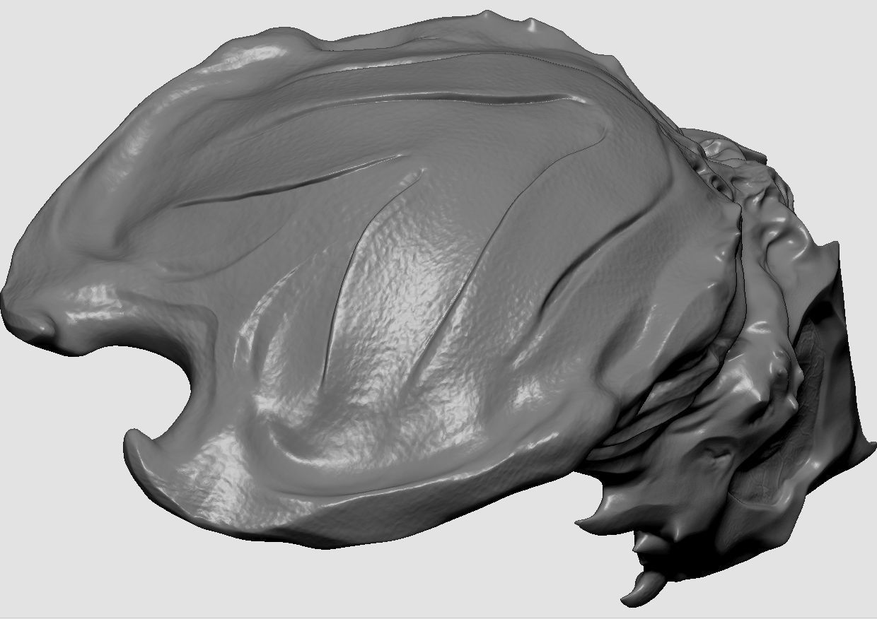 Ceremonial hunter mask 3D print model_9