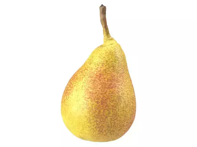 Photorealistic Pear  3D Scan 6