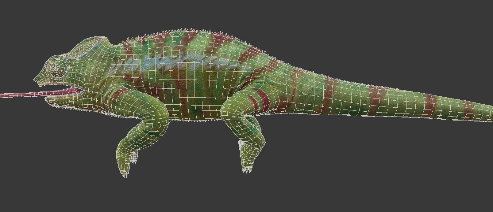 Chameleon Low-poly 3D model_6